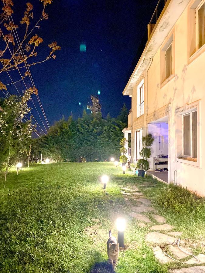 Airport Villa Hotel Arnavutkoy Exterior photo